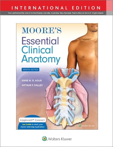 Anne M. Moore's Essential Clinical Anatomy (Int Ed)