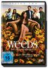 Weeds - Kleine Deals unter Nachbarn - Season 2 (2 DVDs)