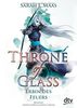 Throne of Glass - Erbin des Feuers: Roman (dtv junior)