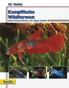 Kampffische Wildformen (Ihr Hobby)