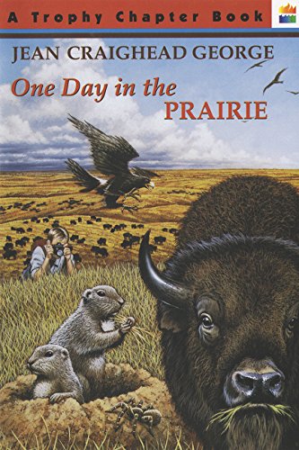 One Day in the Prairie (Trophy Chapter Book)