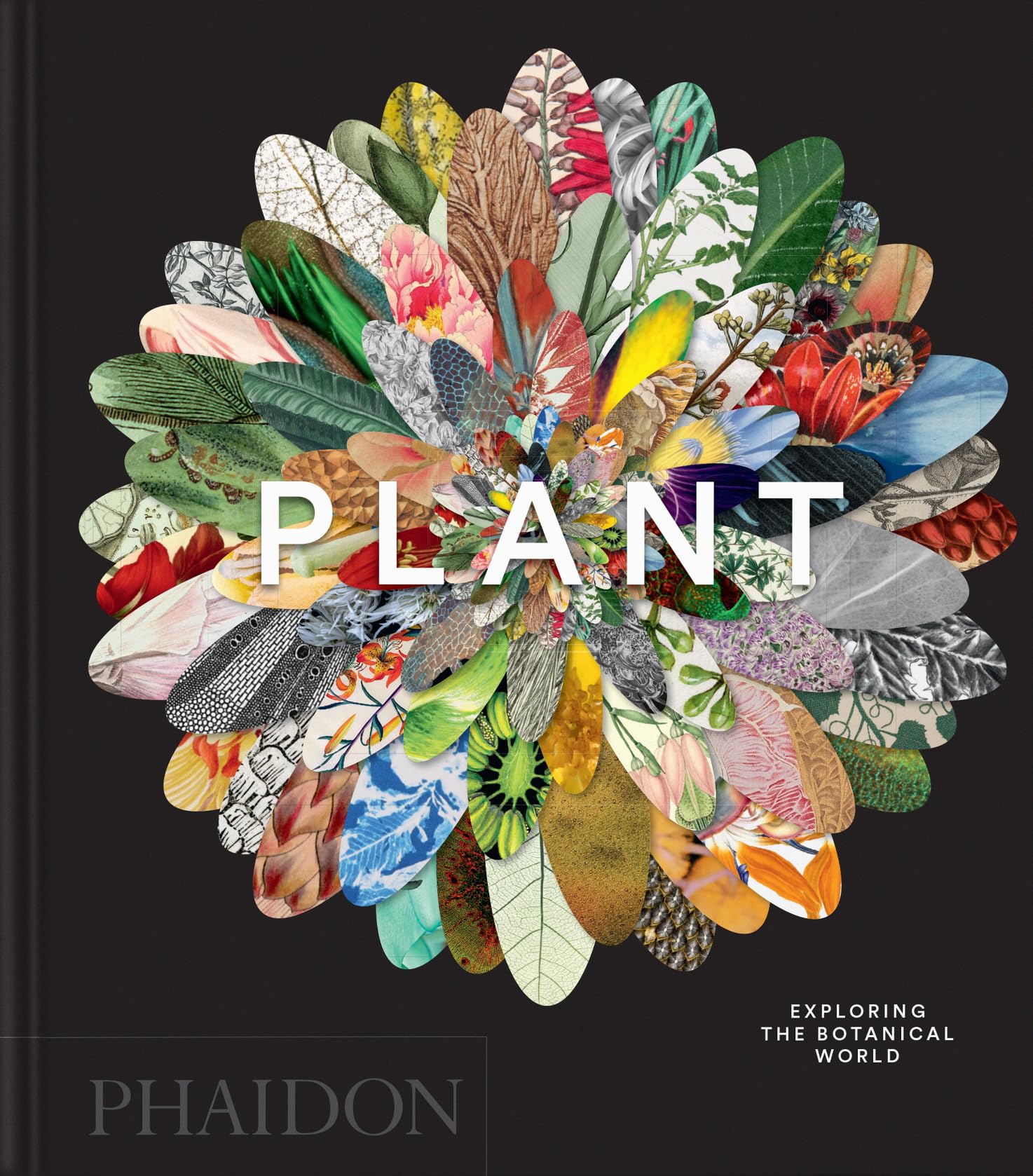 Phaidon Editors Plant, Exploring The Botanical World, Compact Format (Phaidon Compacts)