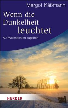 Wenn die Dunkelheit leuchtet: Auf Weihnachten zugehen (HERDER spektrum)