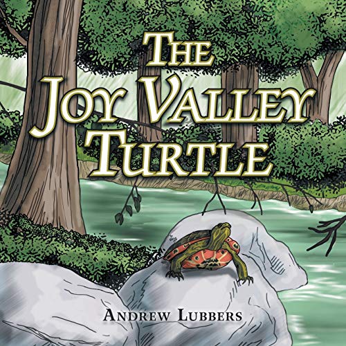 The Joy Valley Turtle