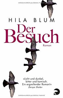 Der Besuch: Roman