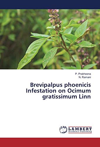 Brevipalpus phoenicis Infestation on Ocimum gratissimum Linn