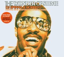The Wonder of Stevie - DJ Spinna & Bobbito