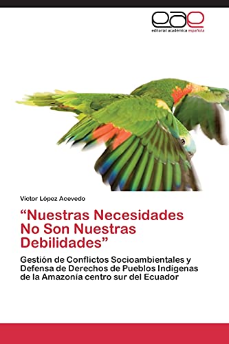 “Nuestras Necesidades No Son Nuestras Debilidades”: Gestión de Conflictos Socioambientales y Defensa de Derechos de Pueblos Indígenas de la Amazonía centro sur del Ecuador