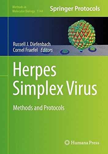 Herpes Simplex Virus: Methods and Protocols (Methods in Molecular Biology)