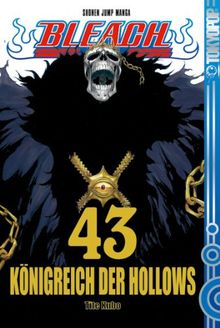 Bleach 43: Königreich der Hollows