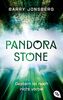 Pandora Stone - Gestern ist noch nicht vorbei (Die Pandora Stone-Reihe, Band 2)