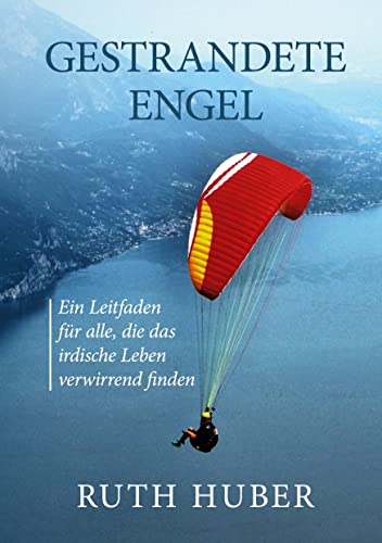Gestrandete Engel: Ein Leitfaden für alle, die das irdische Leben verwirrend finden