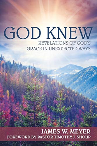 God Knew: Revelations Of God'S Grace In Unexpected Ways