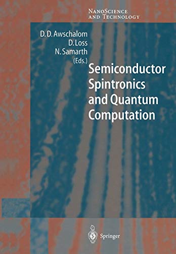 Semiconductor Spintronics and Quantum Computation (NanoScience and Technology)