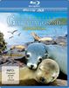 Faszination Galapagos 3D - Südamerika (inkl. 2D Version) [3D Blu-ray]