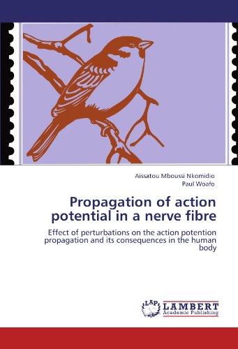 Propagation of action potential in a nerve fibre: Effect of perturbations on the action potention propagation and its consequences in the human body