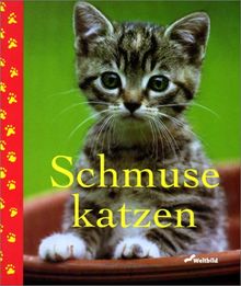 Schmusekatzen. (Mit fünf farbigen Postkarten)