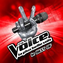 The Voice - le Best of
