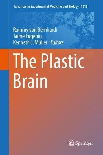 The Plastic Brain (Advances in Experimental Medicine and Biology, Band 1015)