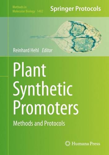 Plant Synthetic Promoters: Methods and Protocols (Methods in Molecular Biology)