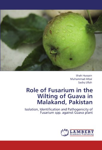 Role of Fusarium in the Wilting of Guava in Malakand, Pakistan: Isolation, Identification and Pathogenicity of Fusarium spp. against Guava plant