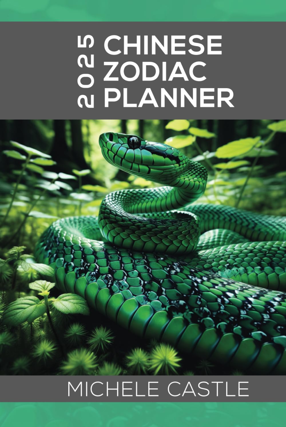 2025 Chinese Zodiac Planner: Daily Insights & Monthly Guidance for the Year of the Wood Snake