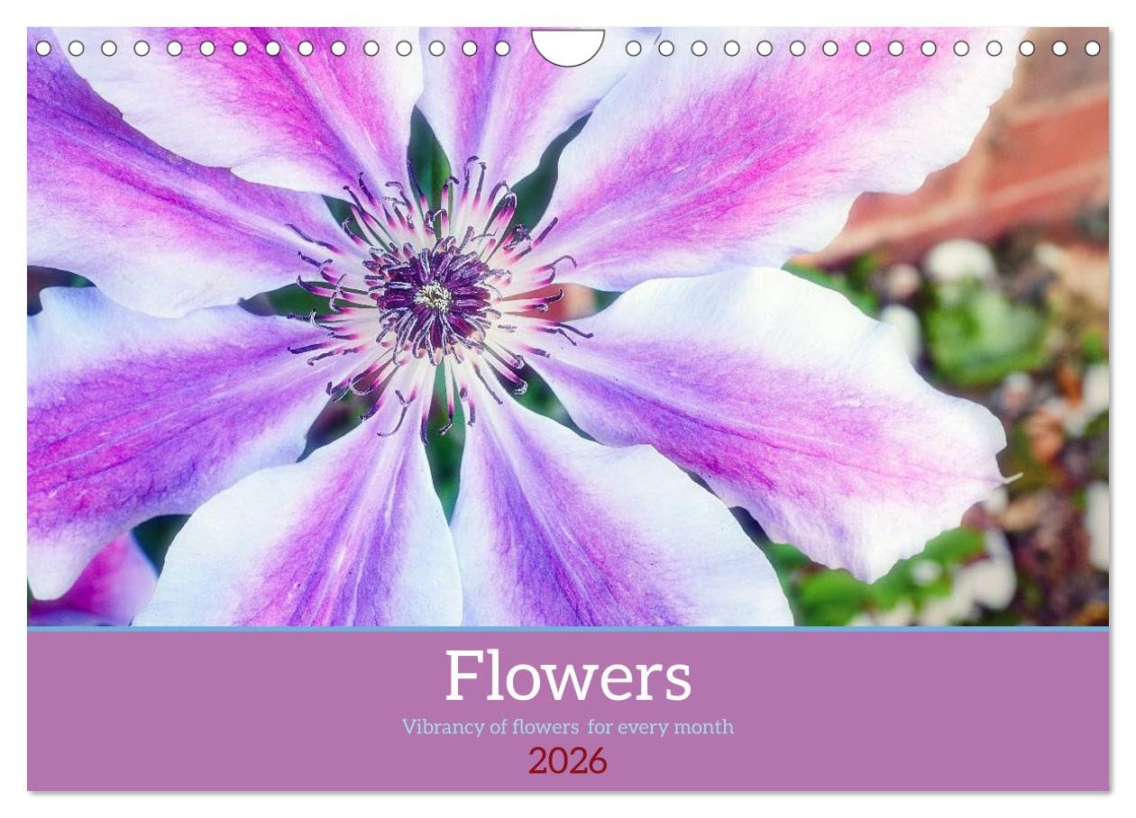 Vibrancy of flowers (Wall Calendar 2026 DIN A4 landscape), CALVENDO 12 Month Wall Calendar: Vibrancy of flowers for every month