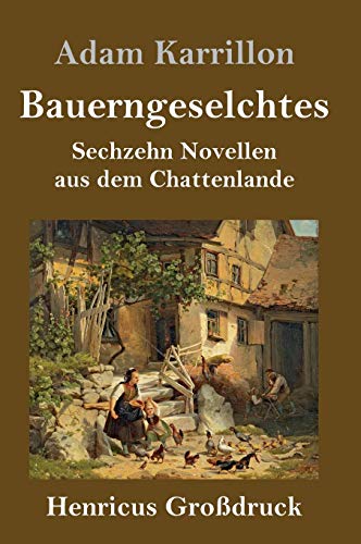 Bauerngeselchtes (Großdruck): Sechzehn Novellen aus dem Chattenlande