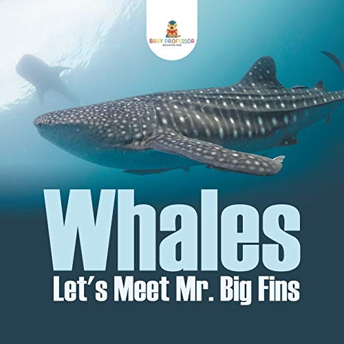 Baby Professor Whales - Let's Meet Mr. Big Fins