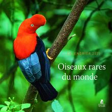 Oiseaux rares du monde : calendrier 2023