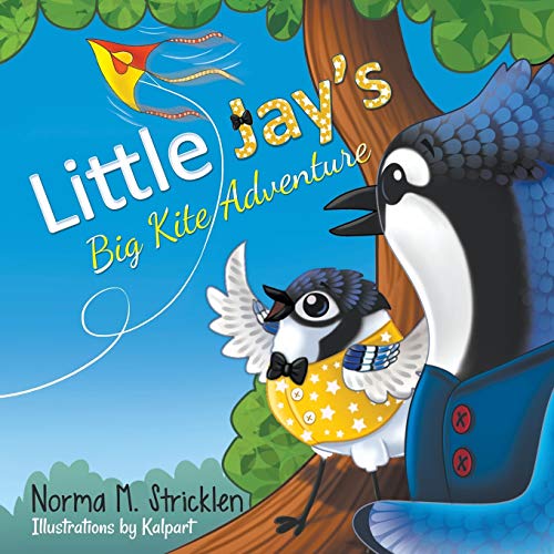 Little Jay's Big Kite Adventure (Little Jay's Adventure, Band 1)