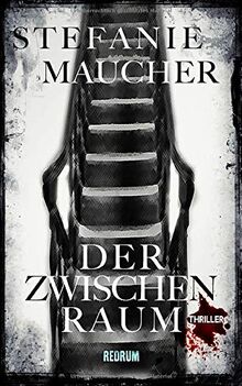 Der Zwischenraum: Thriller