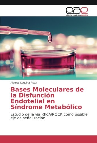 Bases Moleculares de la Disfunción Endotelial en Síndrome Metabólico: Estudio de la vía RhoA/ROCK como posible eje de señalización