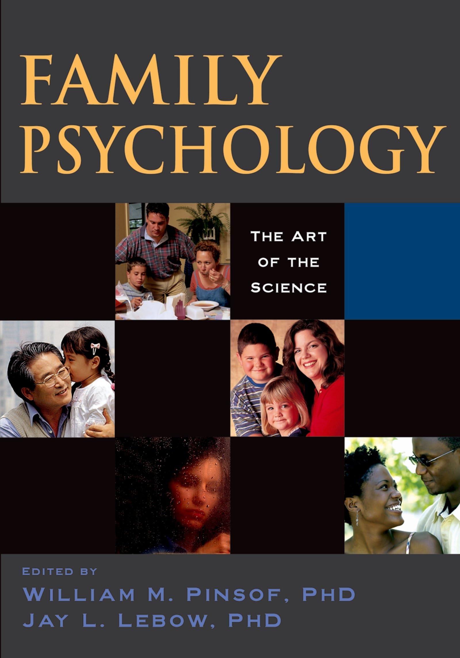 Family Psychology: The Art of the Science (Oxford Textbooks in Clinical Psychology)