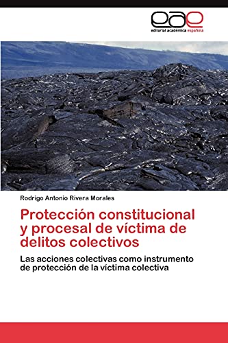 Protección constitucional y procesal de víctima de delitos colectivos: Las acciones colectivas como instrumento de protección de la víctima colectiva