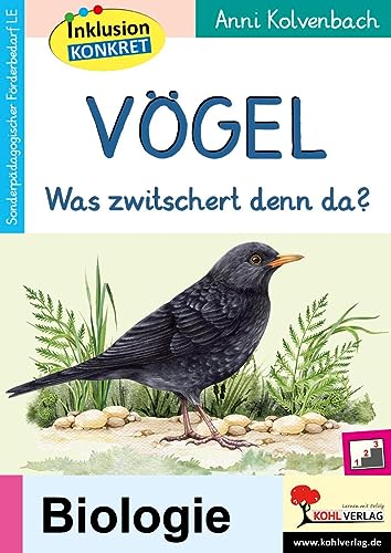 Vögel - Anni Kolvenbach Kartoniert (TB)