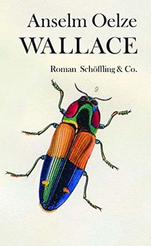 Wallace: Roman