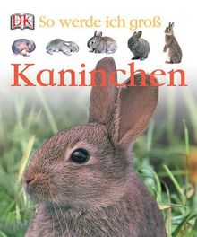So werde ich groß. Kaninchen