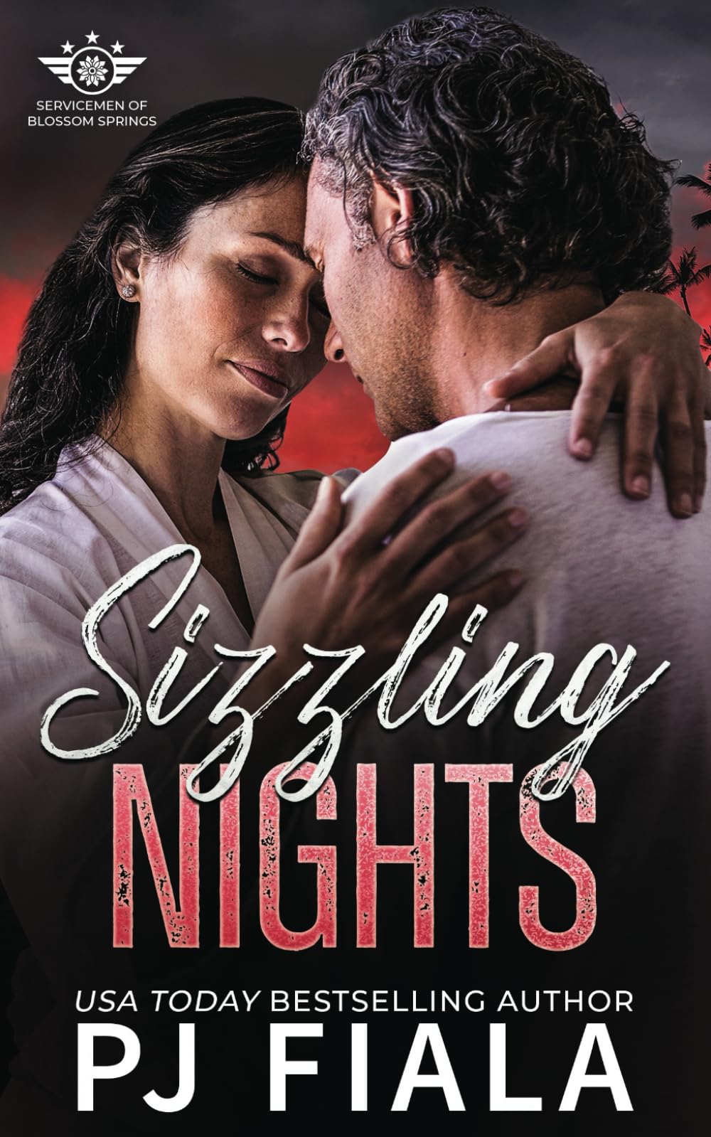 Sizzling Nights (Servicemen of Blossom Springs, Band 5)