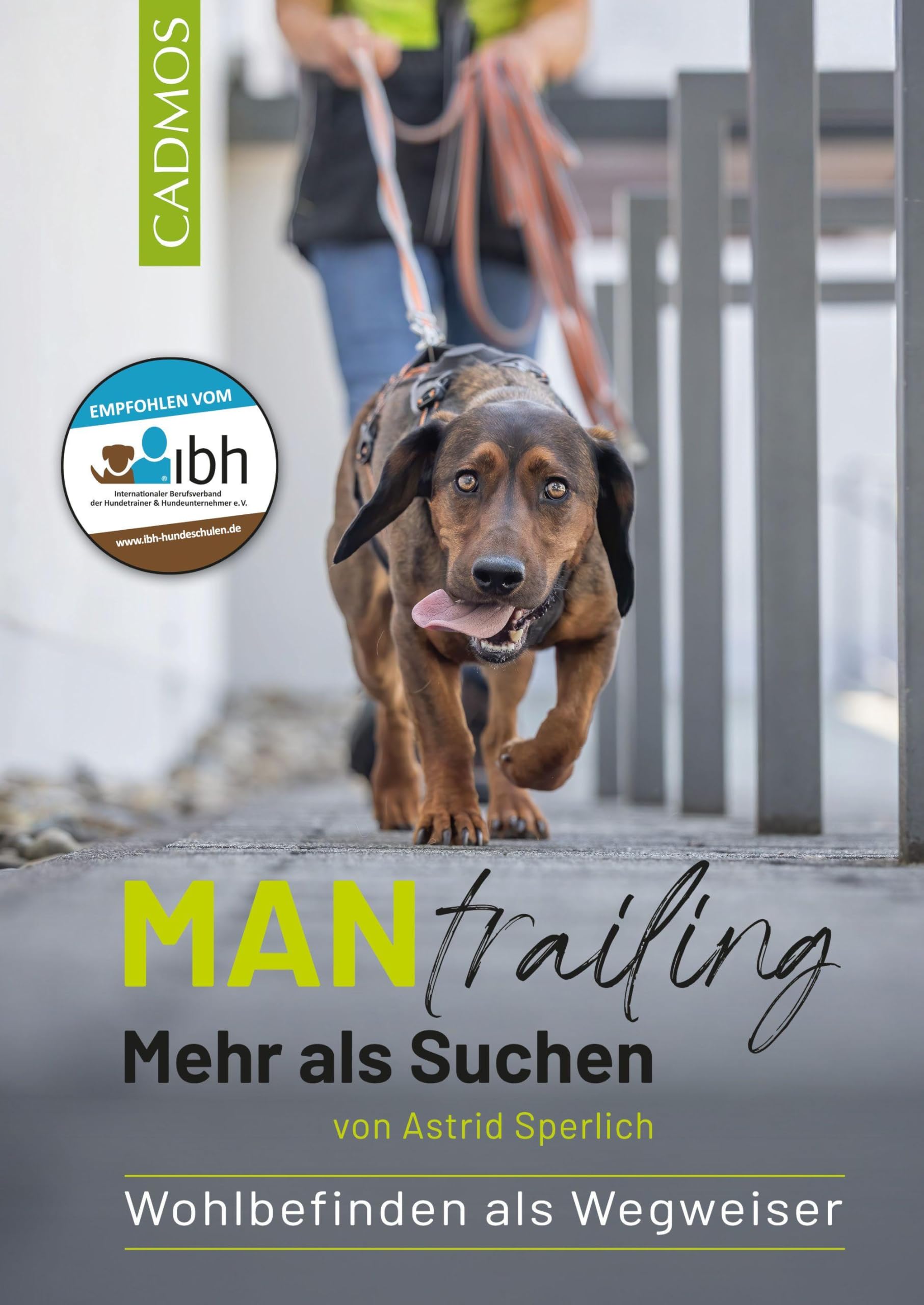 Sperlich, Astrid: Mantrailing - Mehr als Suchen