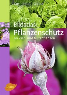 Bildatlas Pflanzenschutz an Zier- und Nutzpflanzen: Krankheiten und Schädlinge erkennen, vorbeugen und richtig behandeln