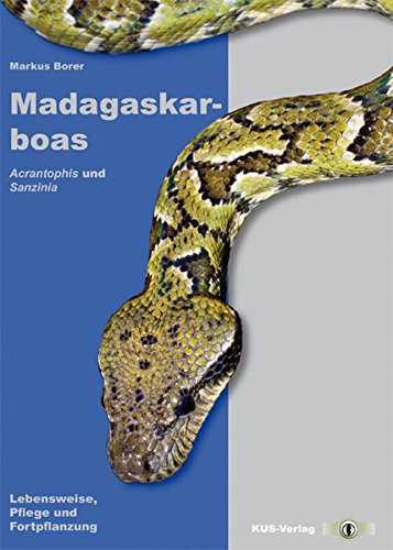 Madagaskarboas: Sanzinia und Acrantophis Lebensweise, Pflege und Fortpflanzung