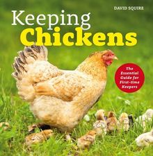 Keeping Chickens