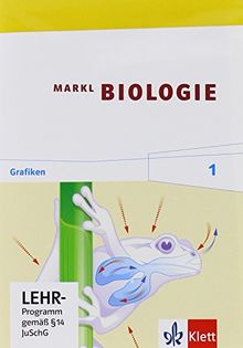 Markl Biologie 1 - Grafik-CD-ROM 5./6. Schuljahr