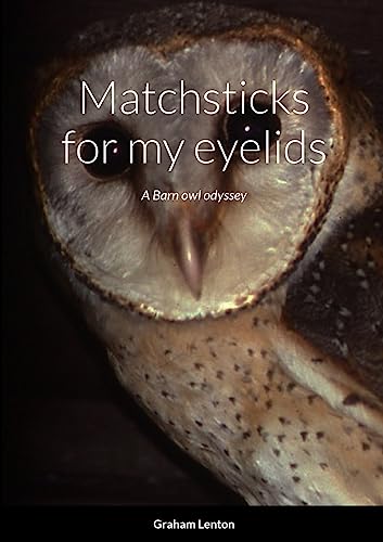Matchsticks for my eyelids: A Barn owl odyssey
