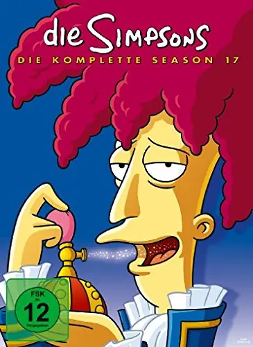Die Simpsons Season 17 DVD