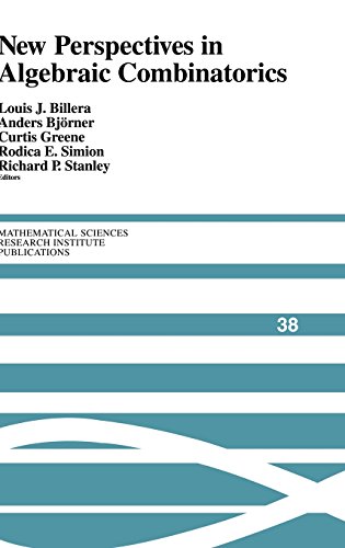 New Perspectives in Algebraic Combinatorics (Mathematical Sciences Research Institute Publications, Band 38)