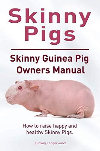 Ludwig Ledgerwood Skinny Pig. Skinny Guinea Pigs Owners Manual. How To Raise Happy And Healthy Skinny Pigs.