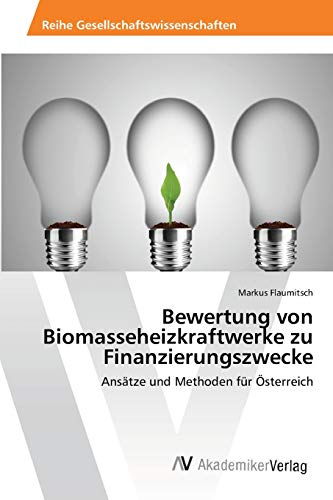Bewertung von Biomasseheizkraftwerke zu Finanzierungszwecke: Ansätze und Methoden für Österreich