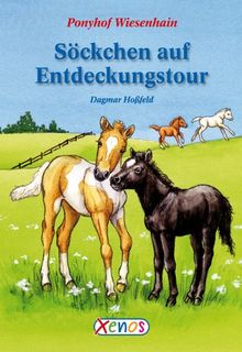 Ponyhof Wiesenhain - Söckchen auf Entdeckungstour